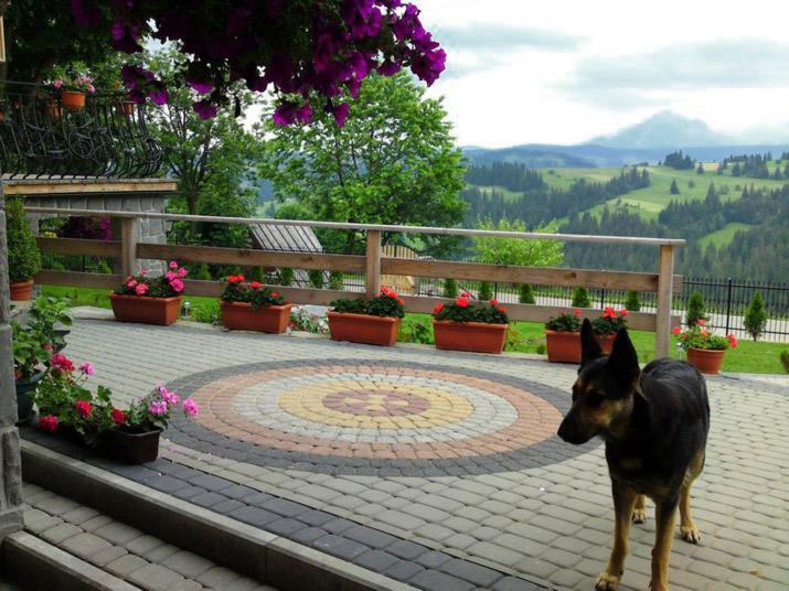 Góralska Chata Bustryk Exterior foto